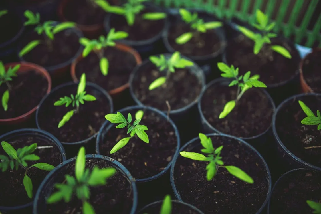 Prêmio Ecologia 2018 será lançado nesta sexta-feira com novidades