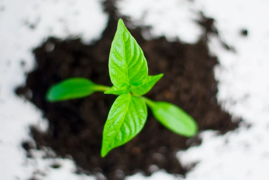 Inscrições para o Prêmio Ecologia 2017 seguem até o dia 30 de setembro