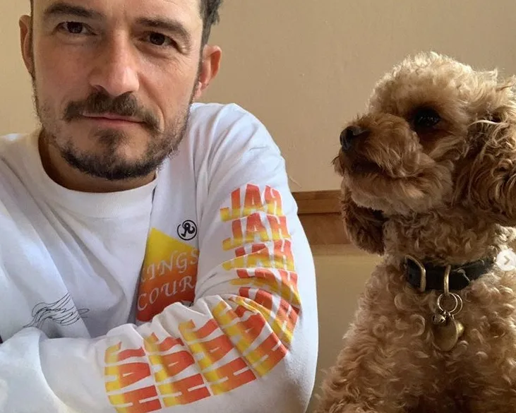 Após sete dias de busca, Orlando Bloom diz que seu cachorro está morto e faz tatuagem para homenageá-lo: 'O amor é eterno'