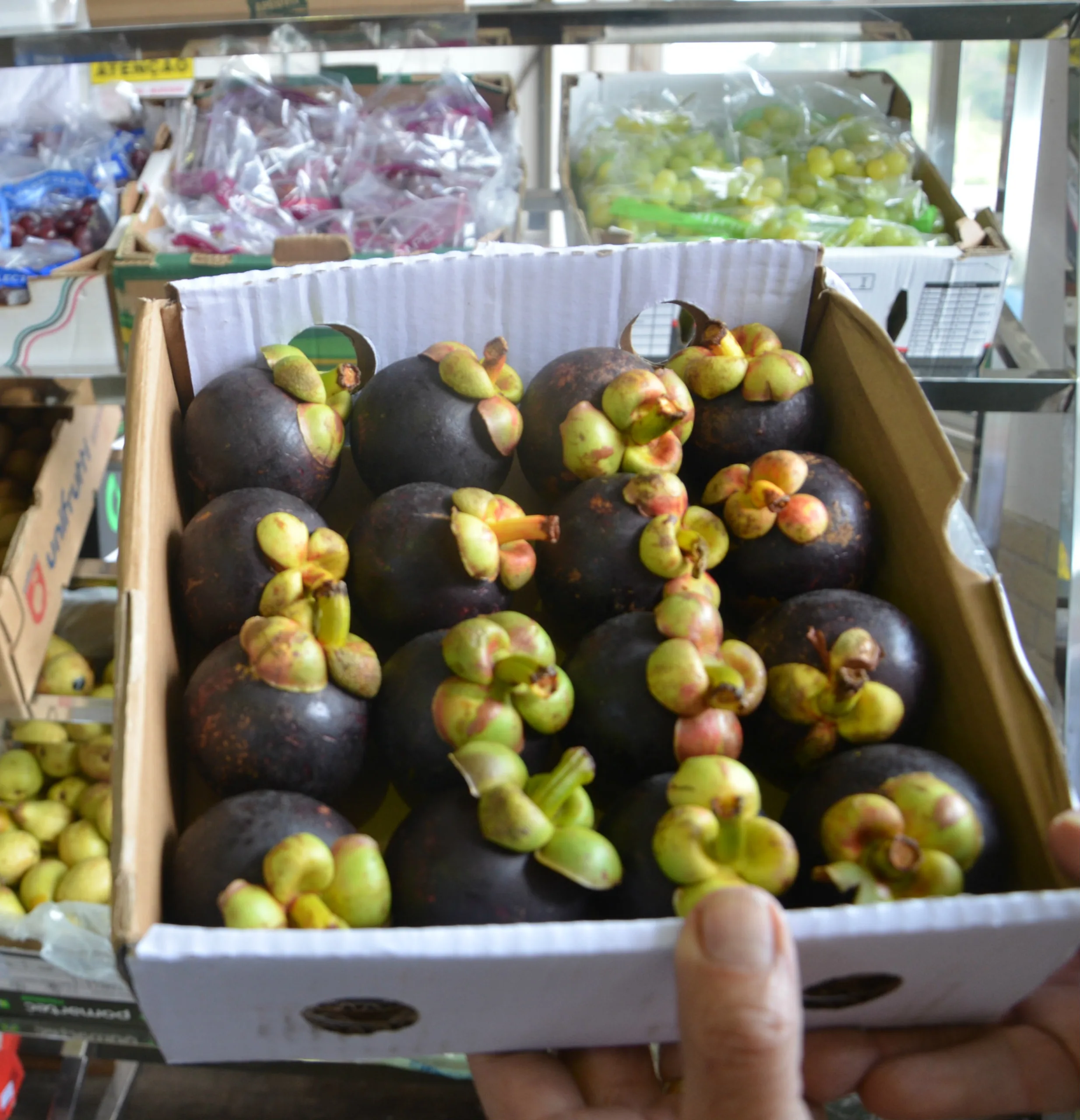 Fruta exótica é produzida em Linhares e comercializada no Ceasa