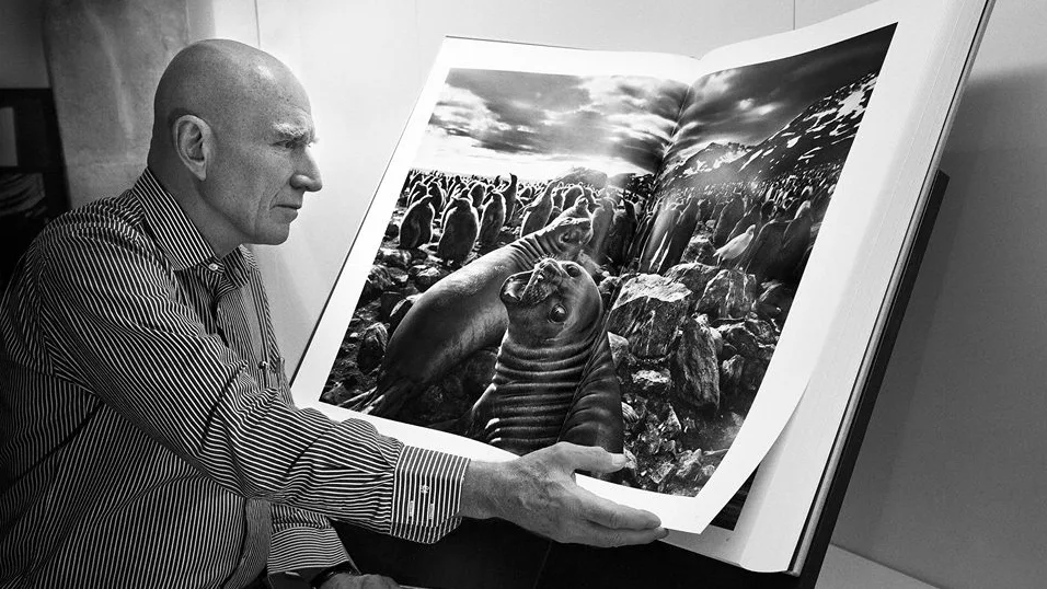 Sebastião Salgado tem fotos comercializadas sem autorização e será indenizado em R$ 50 mil