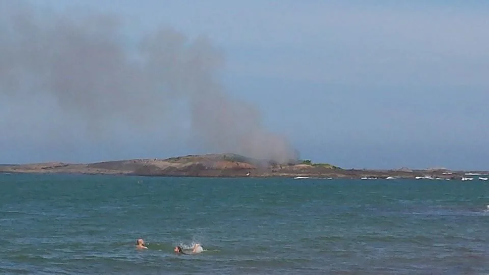 Incêndio atinge vegetação de ilha na Praia da Costa