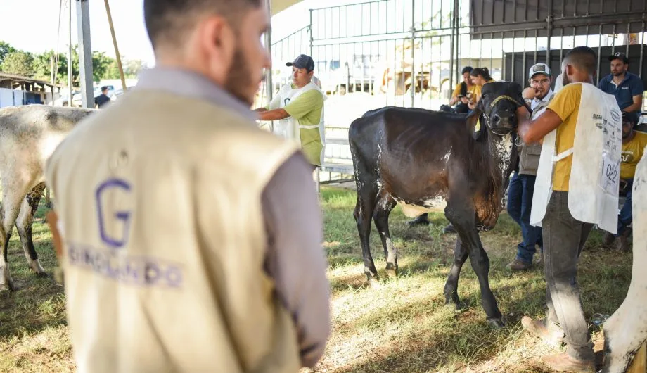 Por coronavírus, ExpoSul em Cachoeiro é adiada para agosto