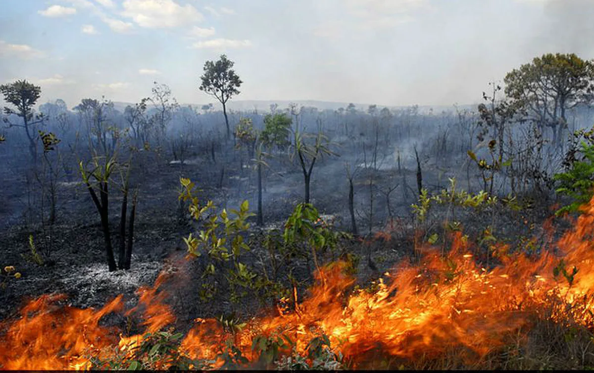 Brasil tem 3 a cada 4 áreas de queimadas na América do Sul