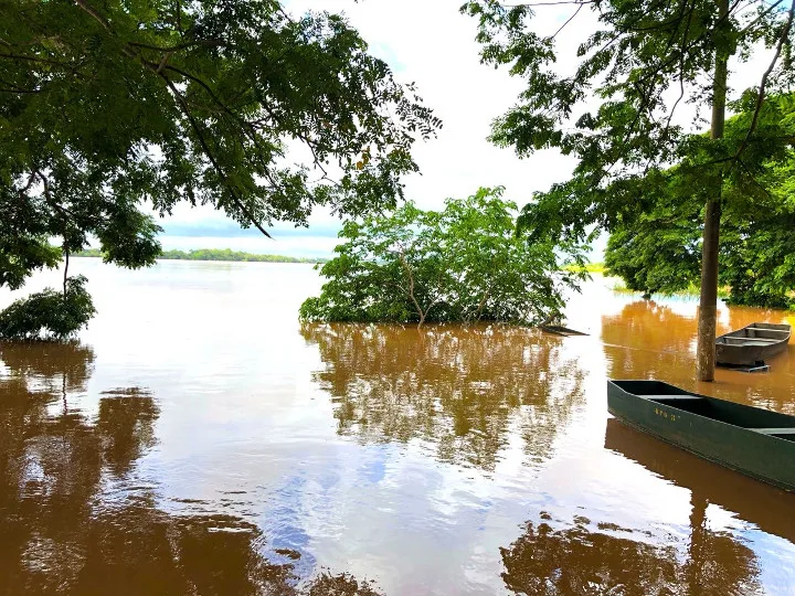 Rio Doce ultrapassa cota de inundação e há risco de transbordamento em Linhares