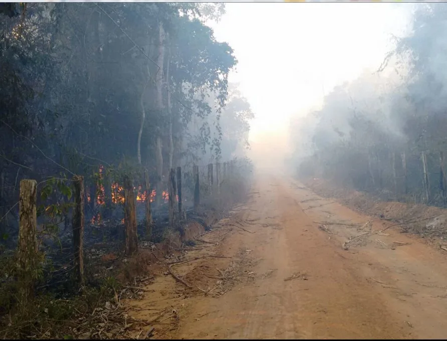 Clima seco aumenta número de incêndios na Grande Vitória e interior do ES