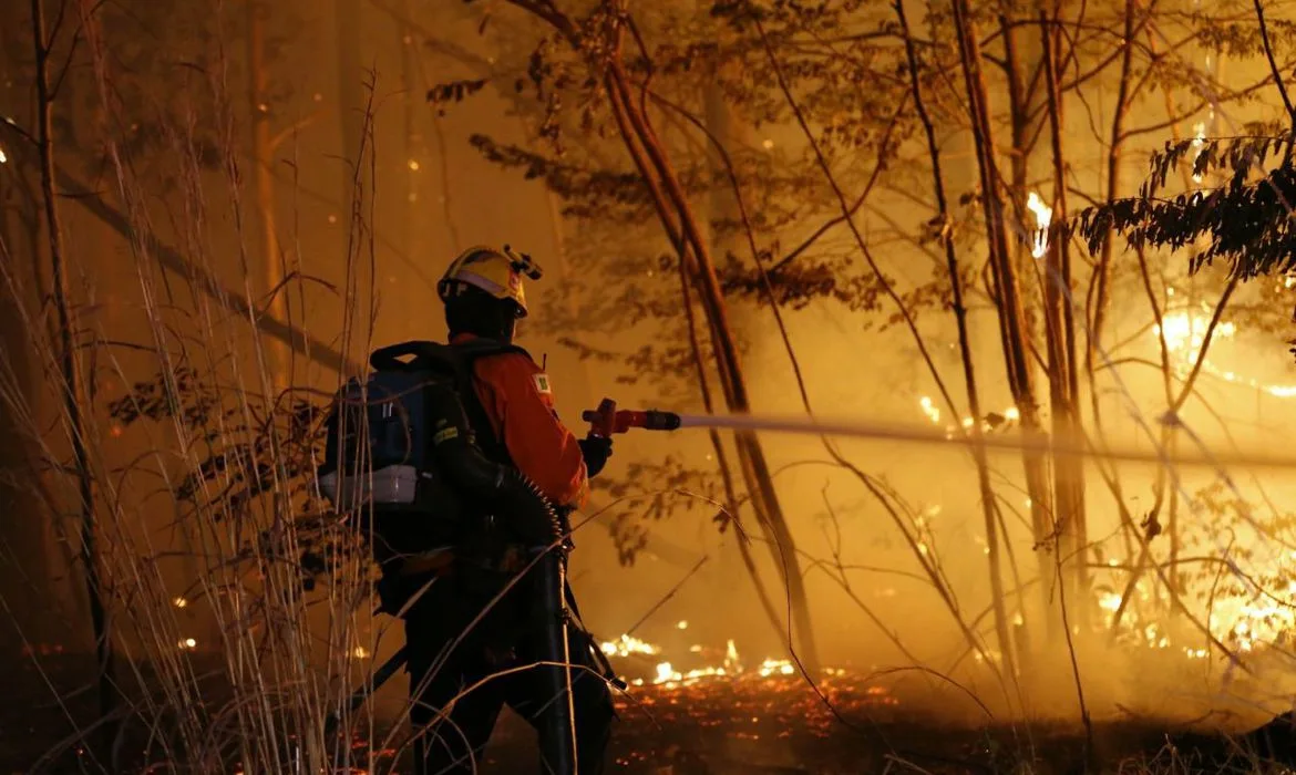 Incêndio atinge área de 163 hectares na Floresta Nacional de Brasília