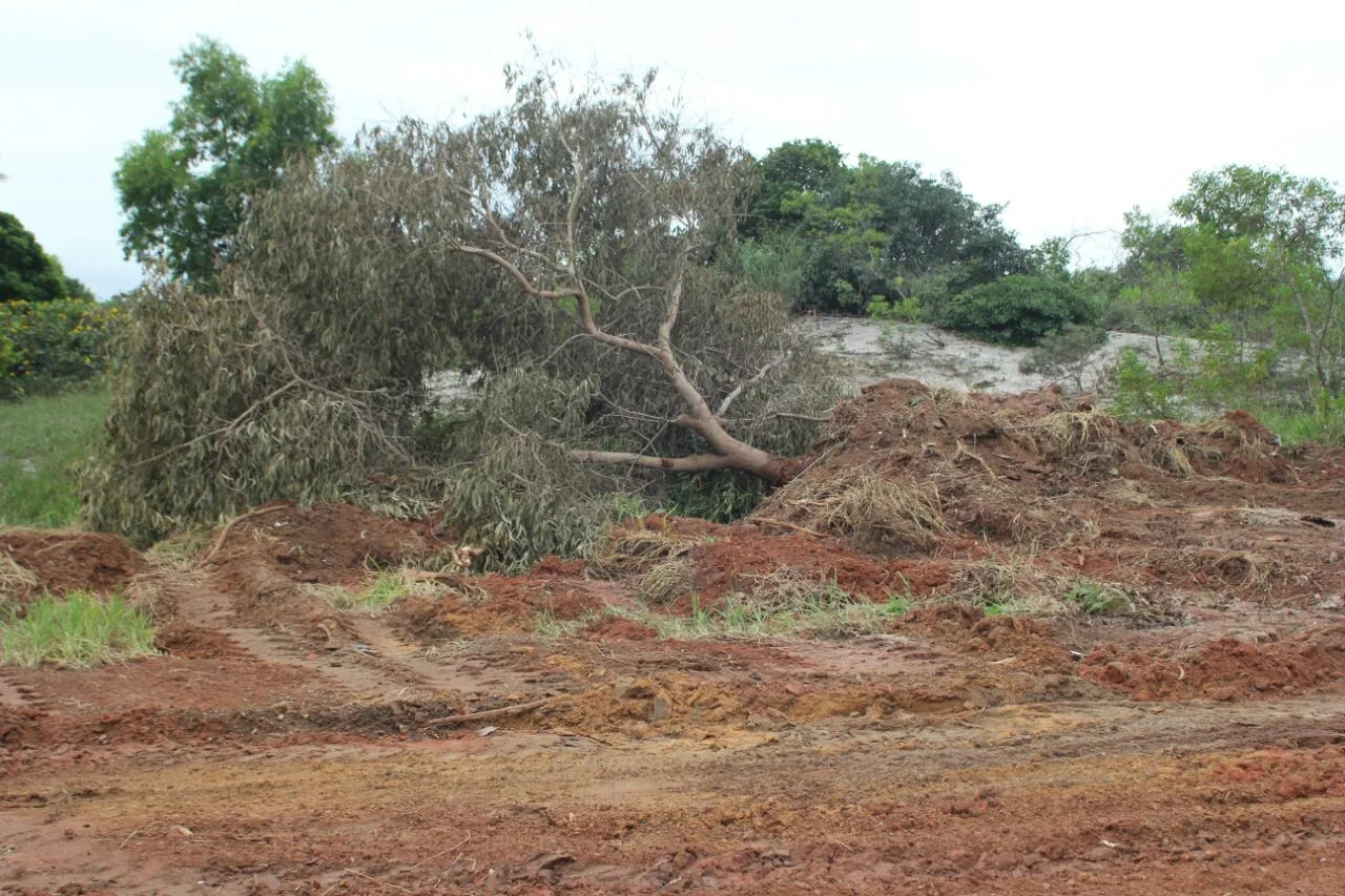 Crime ambiental é descoberto após operação em Guarapari