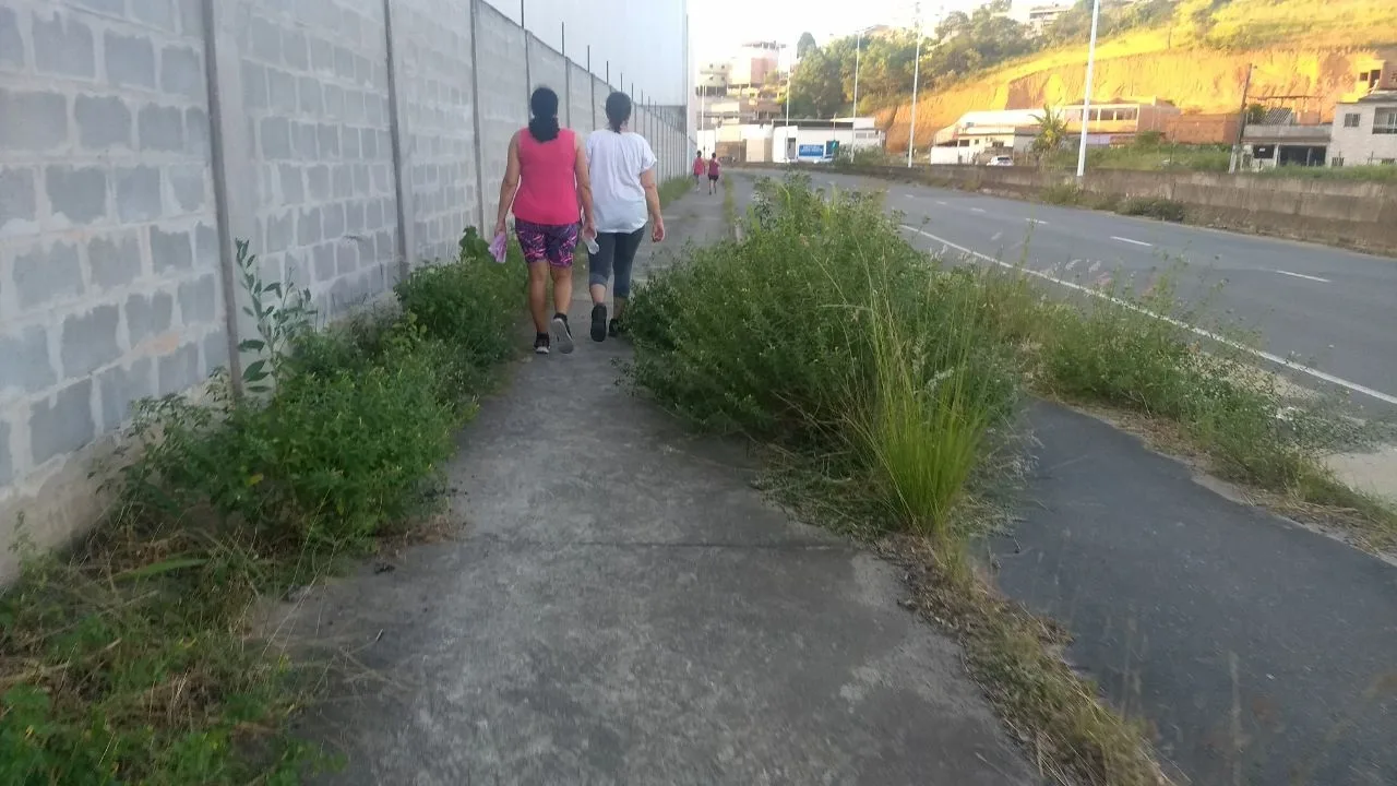 Calçadas e ciclovias são tomadas pelo mato em rodovias de Cariacica