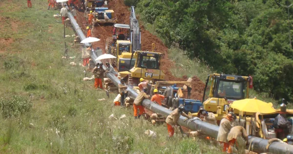 TCU barra primeiro leilão de gasoduto da Petrobras