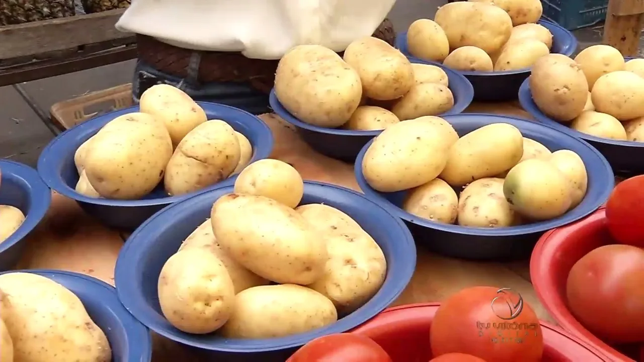 Preço da batata sobe quase 26% e aumenta valor da cesta básica da Grande Vitória