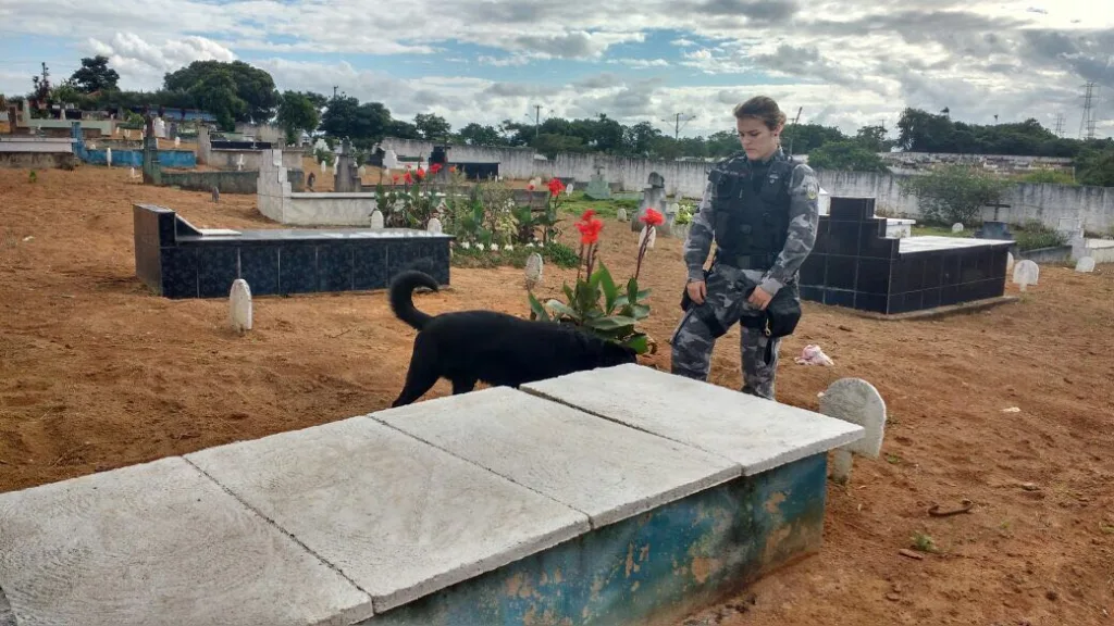 Traficantes usam tumbas de cemitério para armazenar drogas na Serra