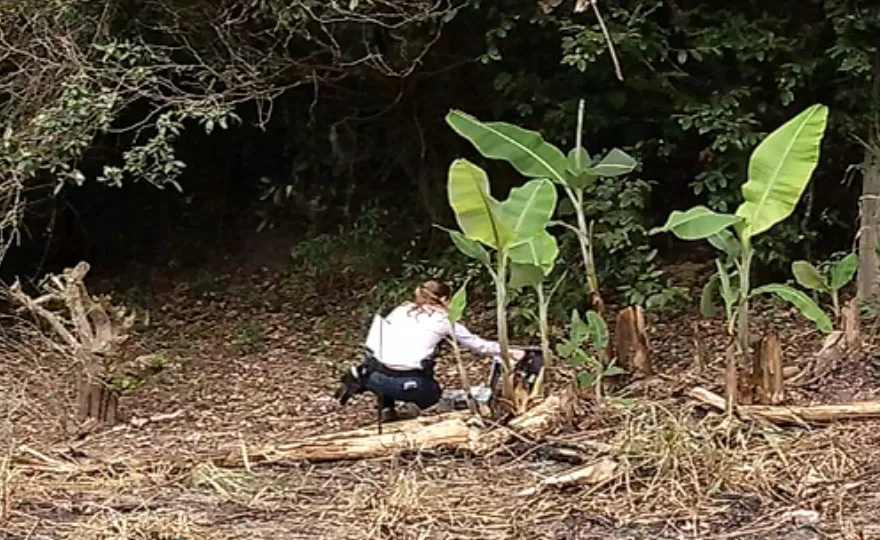 Cachorro encontra corpo de homem nos fundos de chácara na Serra