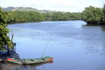 Ação conjunta de monitoramento do mangue