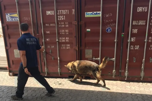 Receita Federal apreende quase 200 kg de cocaína em contêineres que iriam de Vila Velha para Portugal