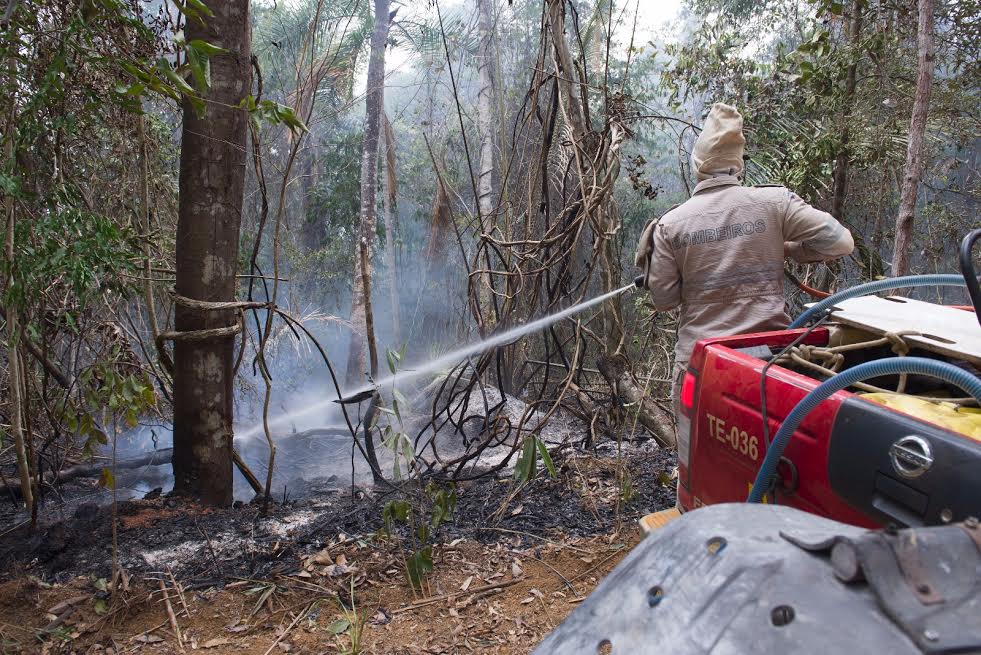 Incêndio em Marilândia é controlado e área queimada chega a 350 campos de futebol