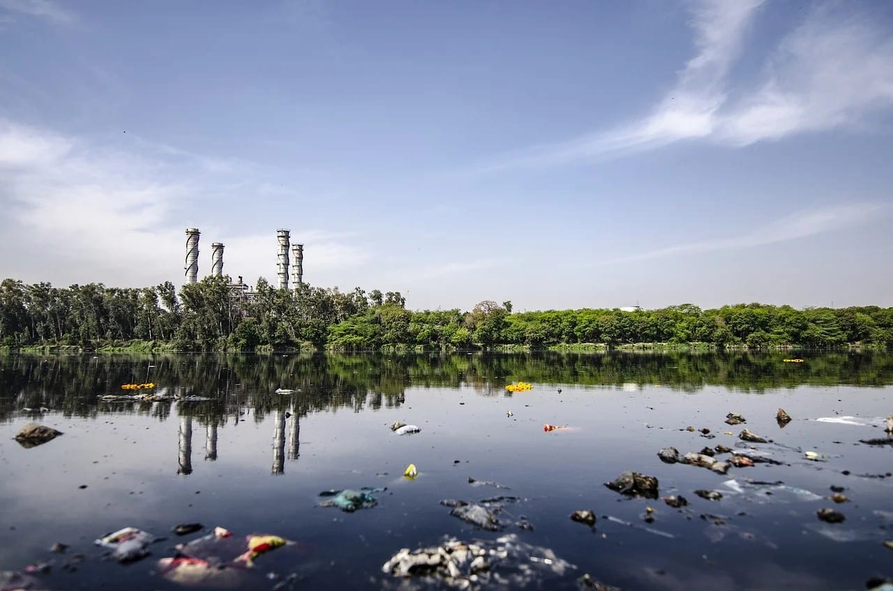 DICA DO DIA (Nº 97): CONTAMINAÇÃO/POLUIÇÃO