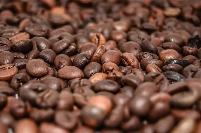 Estudo indica que Brasil tem dificuldade para exportar café com valor agregado