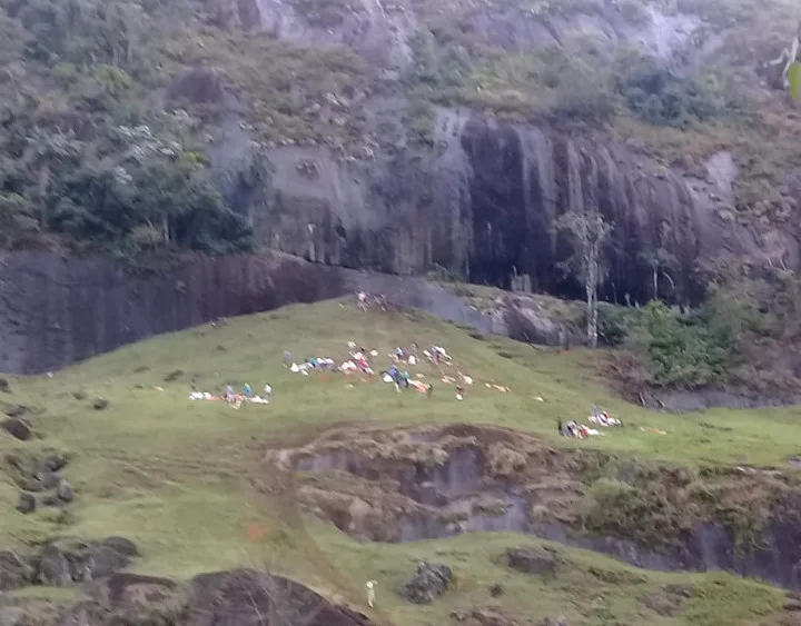 Novilhas caem de barranco e morrem no interior do Espírito Santo