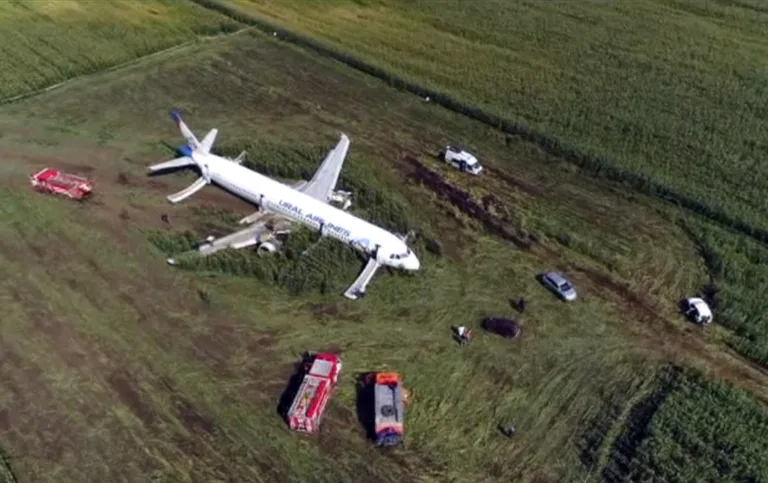 Avião russo faz pouso de emergência em milharal após colisão com pássaros