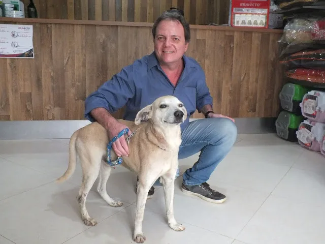 Cachorro espancado por idosa em Cachoeiro ficará com biomédico que doou exames