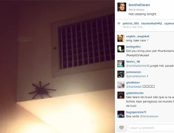 Atacante da Austrália encontra aranha em quarto de hotel