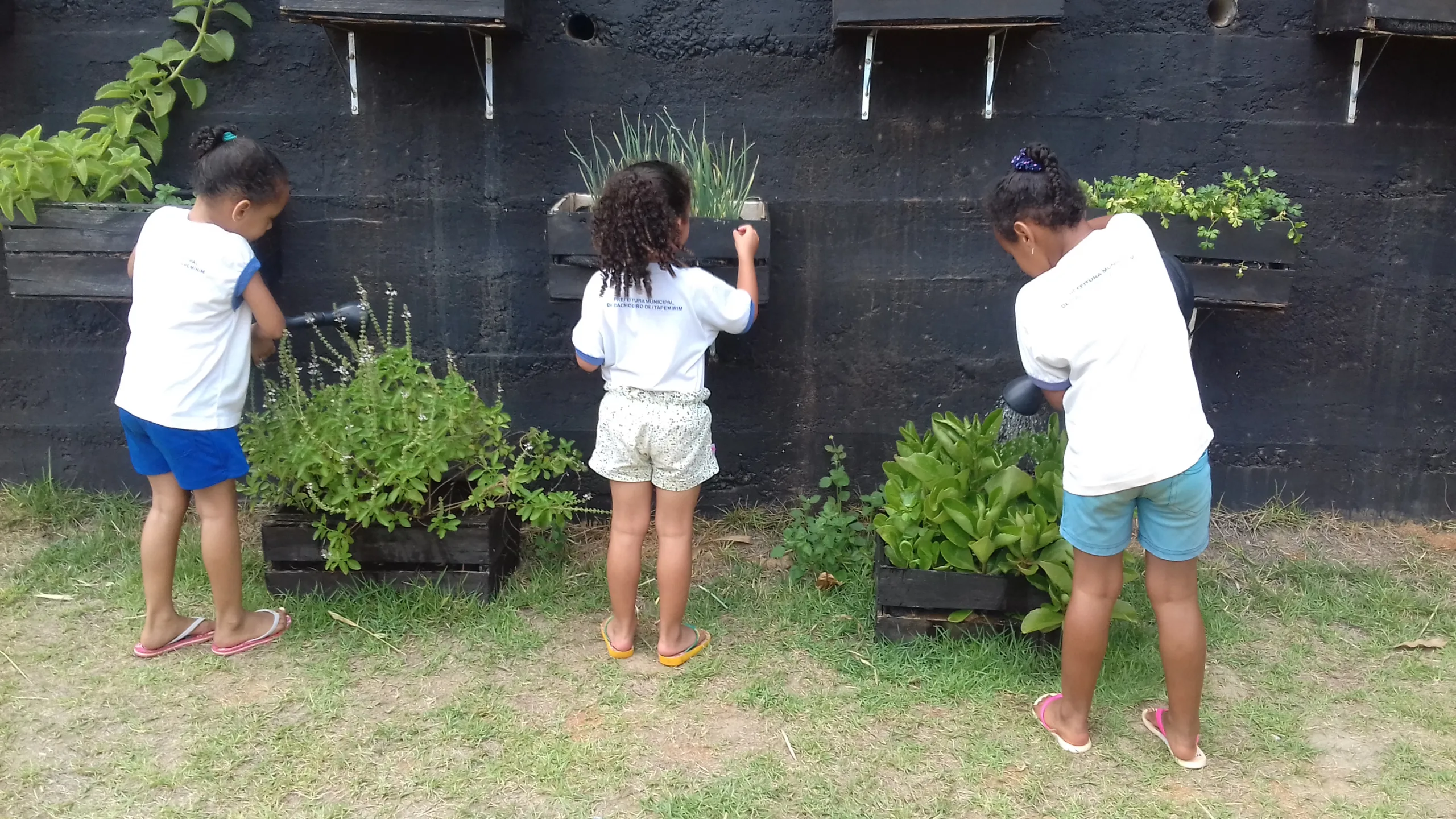 Quatro projetos desenvolvidos em Cachoeiro são semifinalistas no Prêmio Inoves