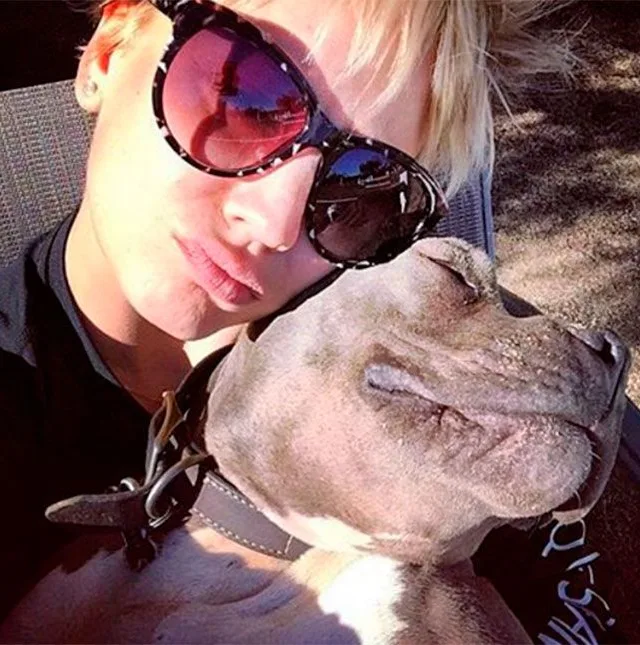 Kaley Cuoco superou ano difícil com a ajuda dos seus cachorros
