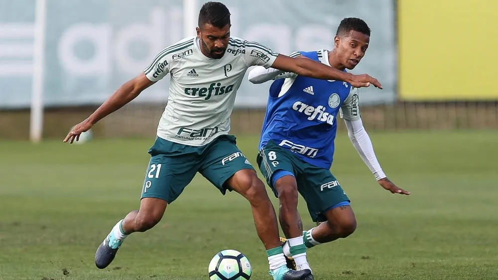 No Engenhão, Palmeiras enfrenta o Botafogo para selar a paz no ambiente