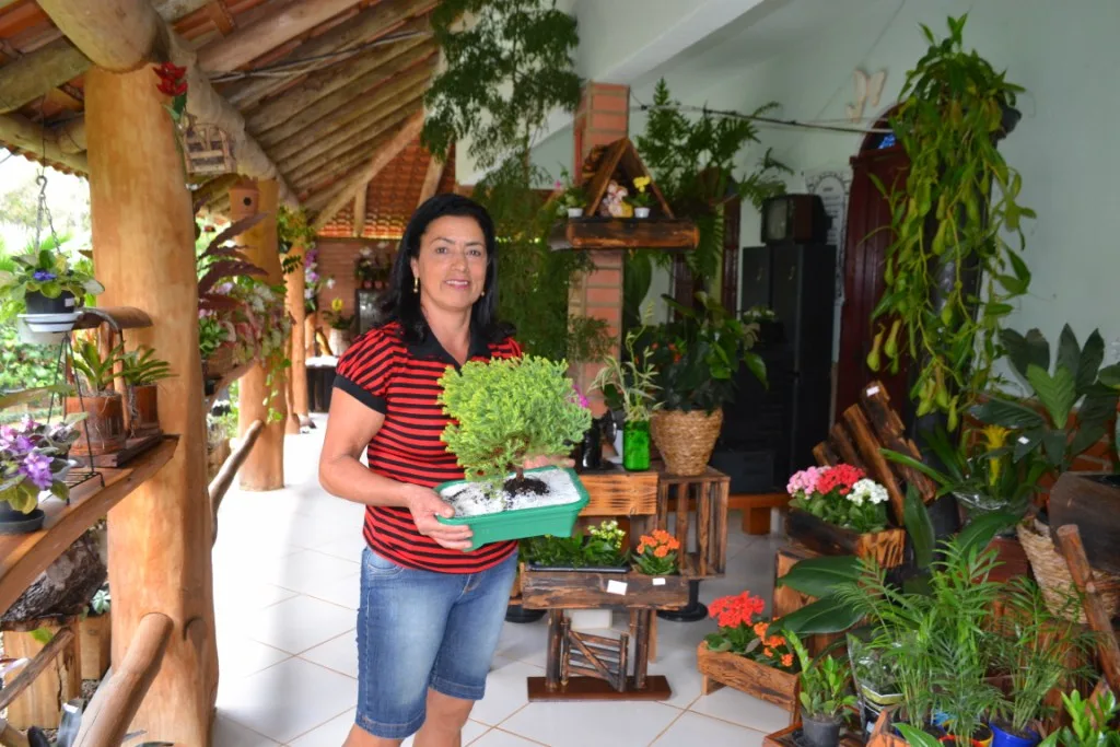 Coleção e cultivo de flores se transportam em ponto turístico e fonte de renda em Alfredo Chaves