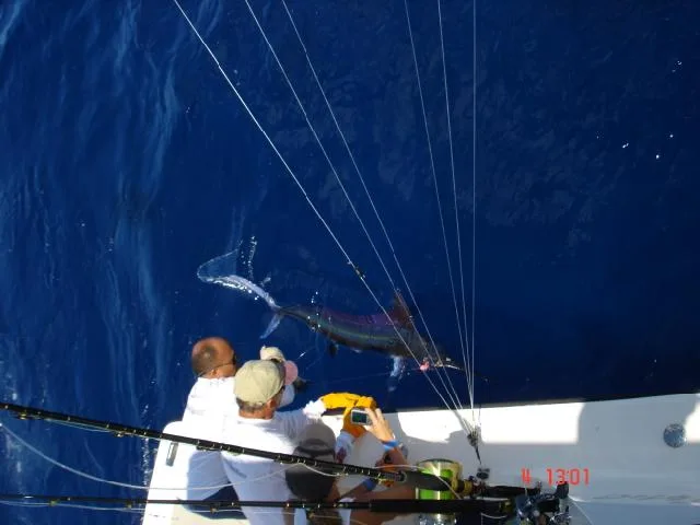 Espírito Santo participa da mais importante feira de pesca da América Latina