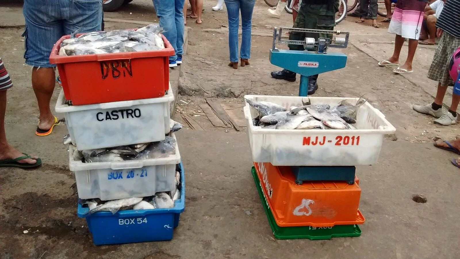 Fiscalização apreende quase 170 kg de peroá pescado de forma ilegal em Guarapari