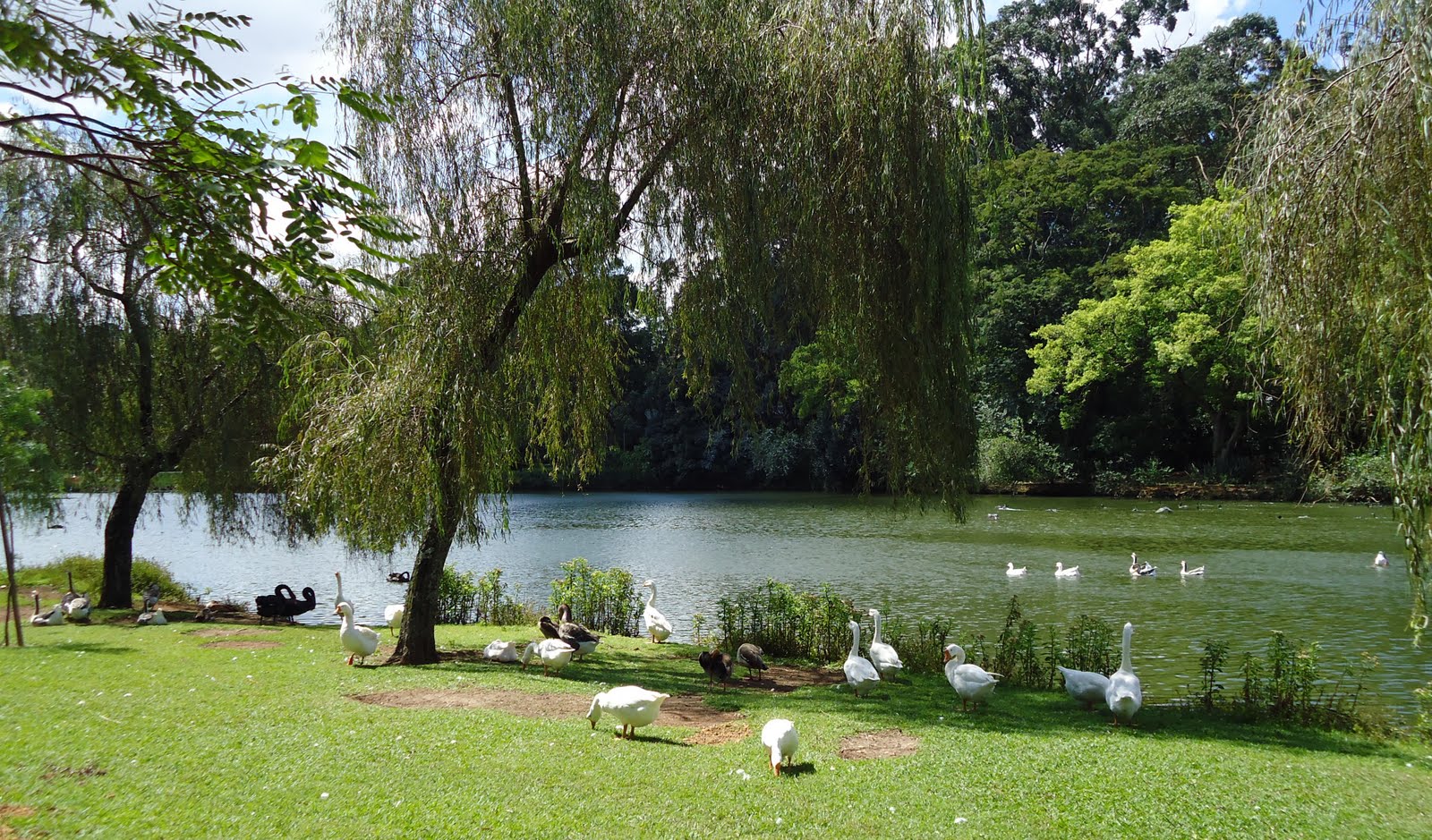 Recém-nascido é encontrado morto em lago