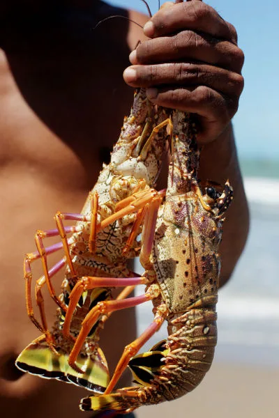 História de pescador não colou: fraudador terá que devolver seguro desemprego no sul do ES