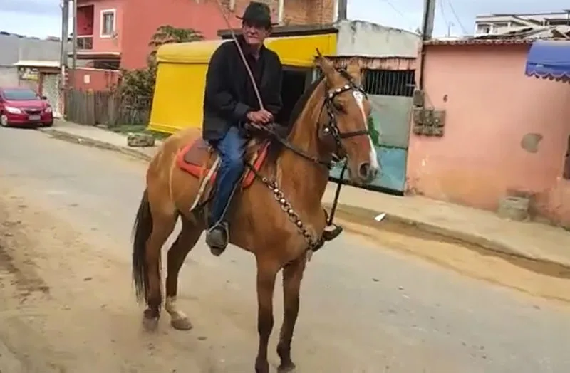 Família oferece recompensa de R$ 500 a quem encontrar égua furtada em Cariacica