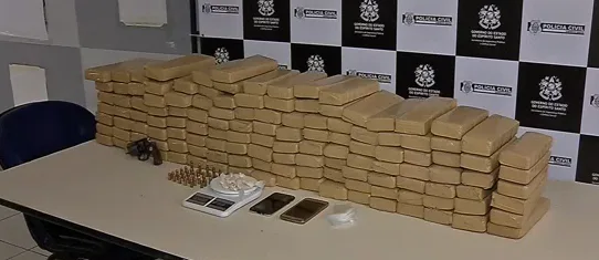 Polícia apreende 80 kg de maconha que seriam distribuídos no carnaval de Guarapari