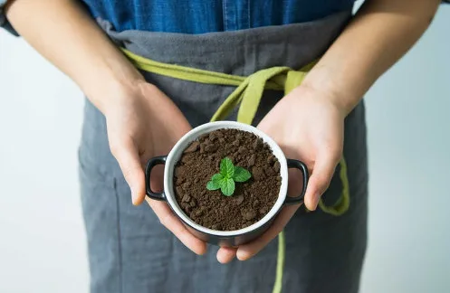 Cerimônia de entrega do Prêmio Ecologia 2017 acontece na próxima quinta-feira em Vitória