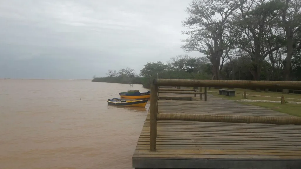 Qualidade da água na bacia do Rio Doce piora dois anos após tragédia em Mariana, diz estudo