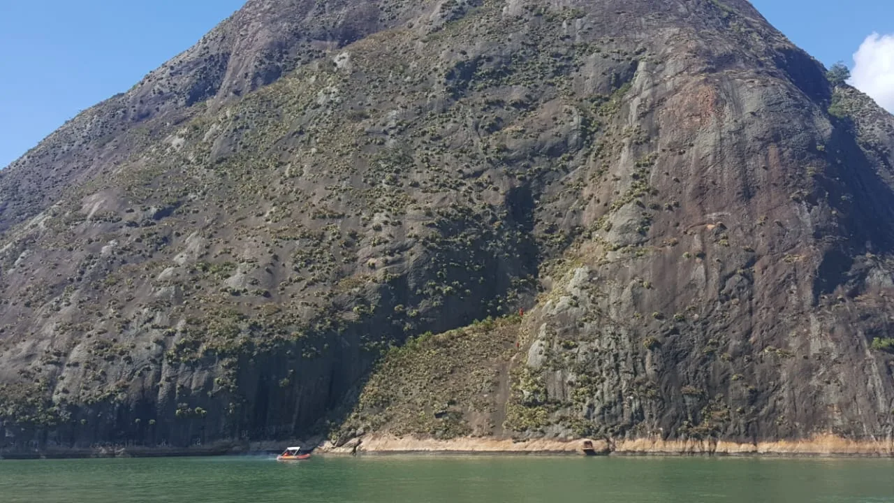 Cães abandonados na Pedra do Penedo são resgatados e serão adotados por protetora de animais