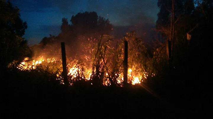 Incêndio atinge área rural de Ponta da Fruta. Assista ao vídeo!