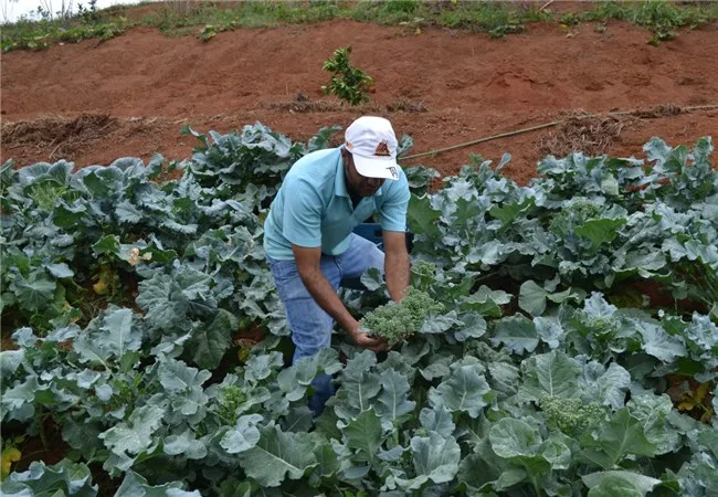 Sob pressão de produtores rurais, governo vai mudar tabela de fretes