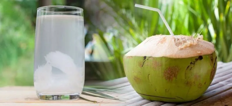 Descubra os benefícios da água de coco: hidratante natural e rica em nutrientes