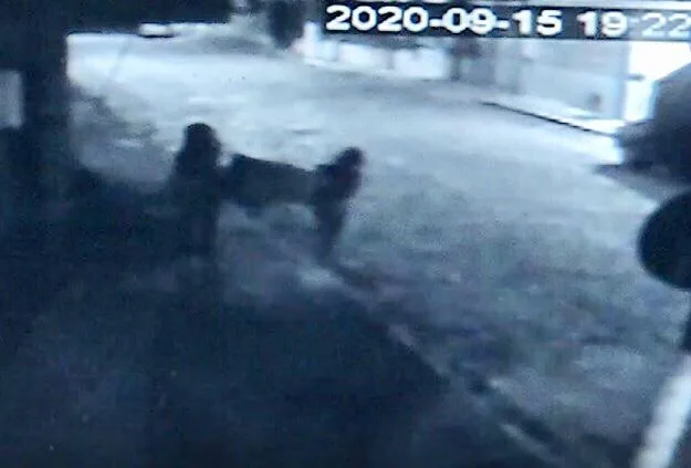 VÍDEO | Câmeras flagram bebê recém-nascido sendo abandonado em Vila Velha