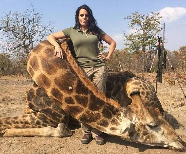 Caçadora posta foto ao lado de girafa morta na rede social e alerta aos inimigos que mais fotos estão por vir