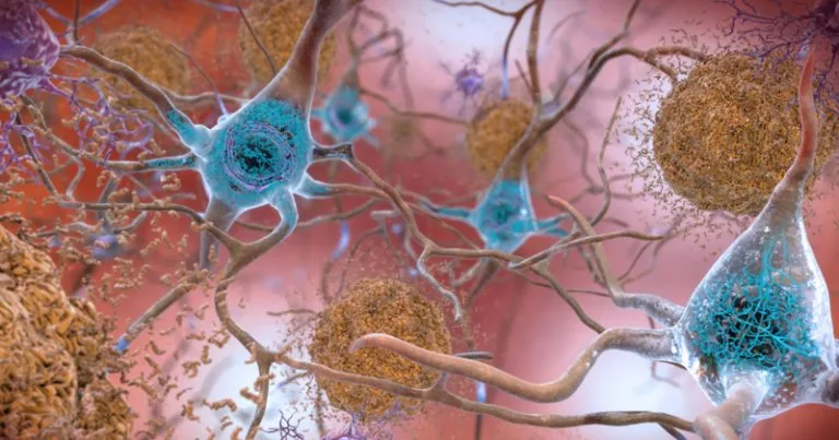 Pesquisa sobre relação entre medo e dor recebe prêmio em neurociência