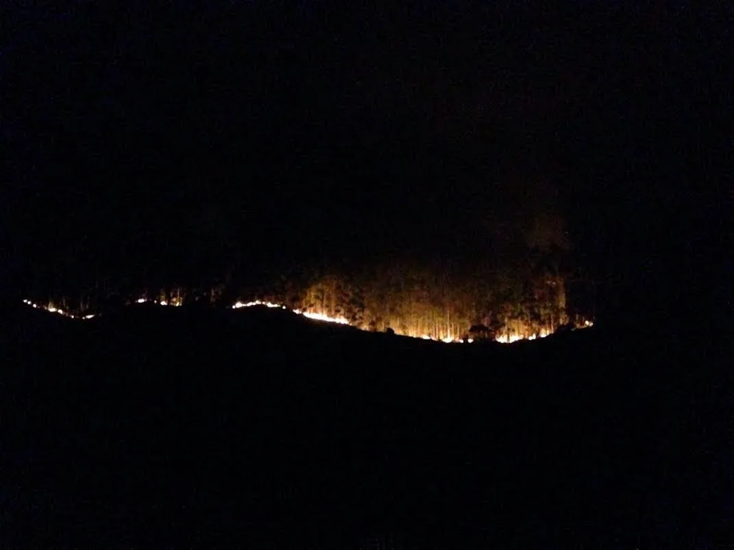 Causa de incêndio em plantação de Pedra Azul ainda não foi identificada