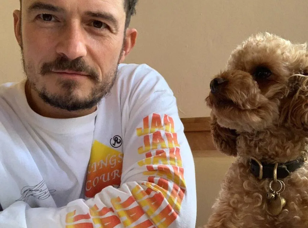 Orlando Bloom faz tatuagem para homenagear seu cachorro que morreu