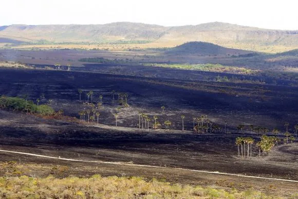 PF vai apurar causas de incêndio na Chapada dos Veadeiros