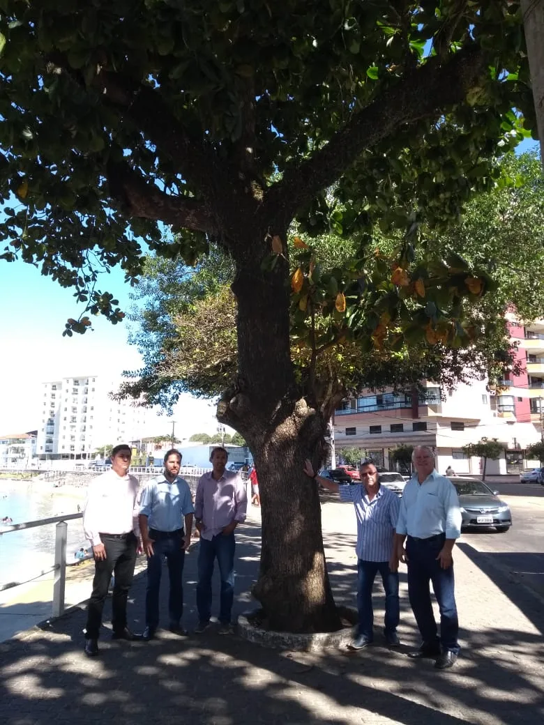 Vereadores de Guarapari comemoram após decisão judicial