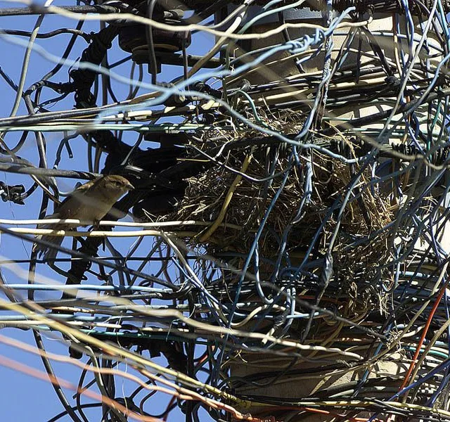 Os gatos de luzem pode ocasionar em incêndios e choques eletrícos